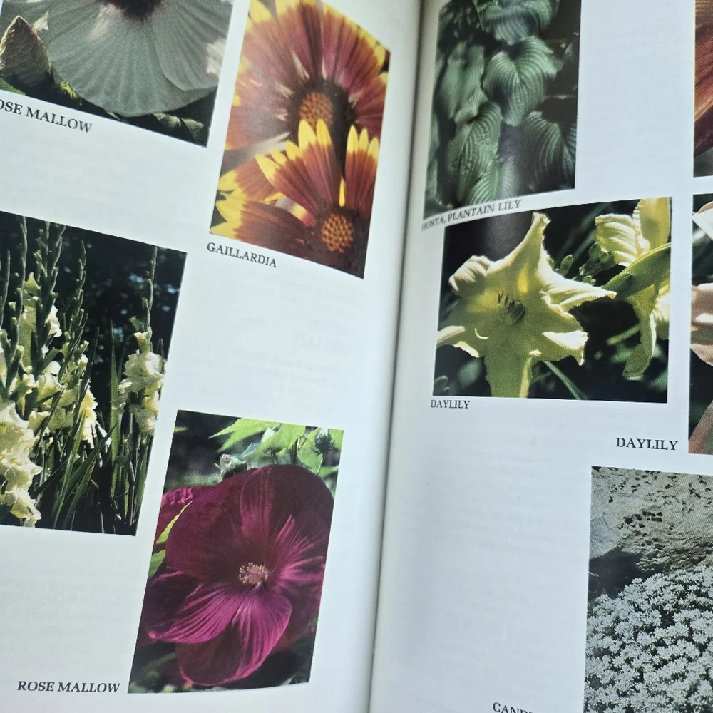 Neil Sperry's Complete Guide To Texas Gardening, hardcover - Picture 11 of 16